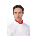CHEF NECKERCHIEF-11